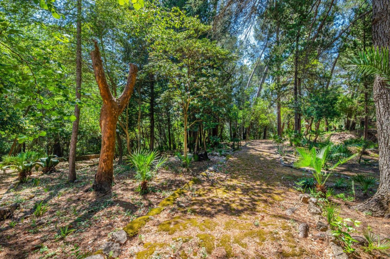 Son Grua Agroturismo - Adults Only Pollença Екстериор снимка