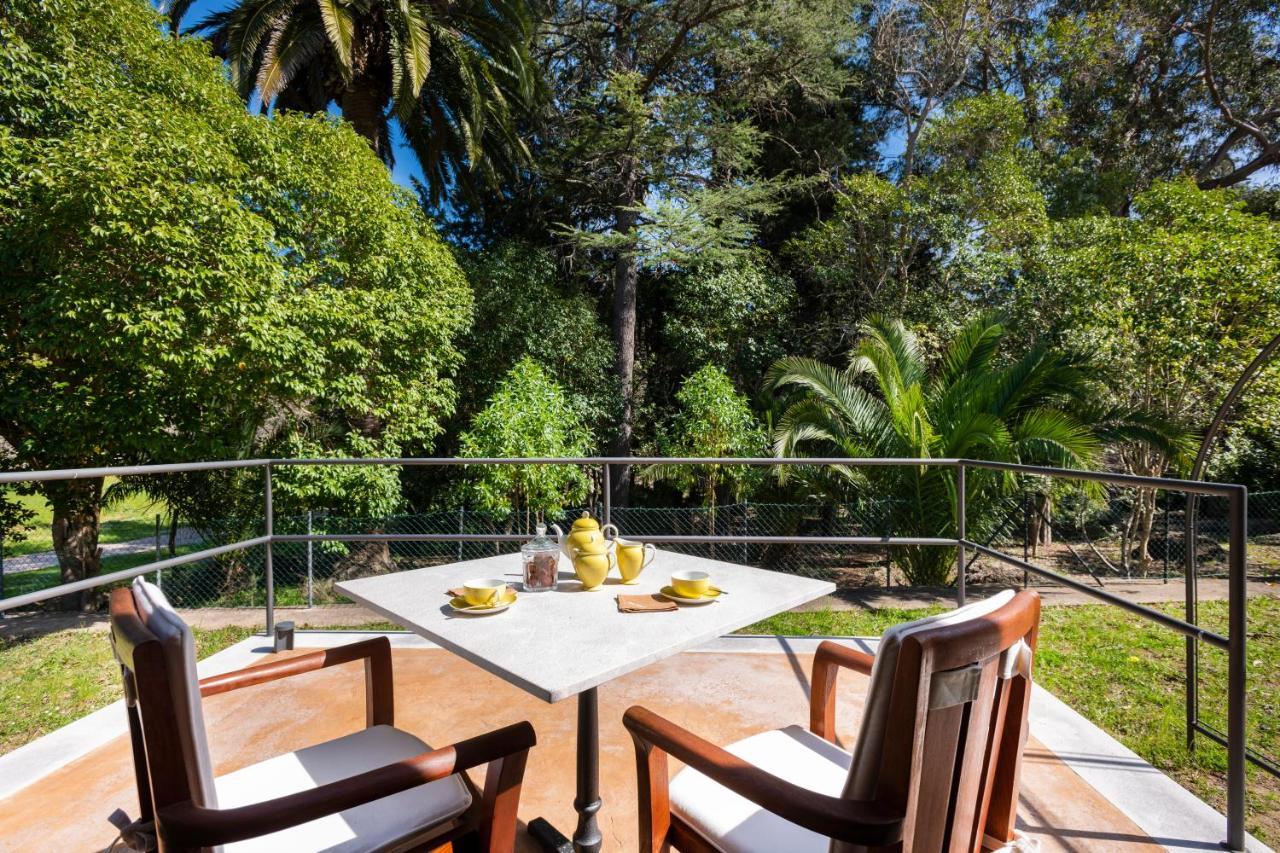 Son Grua Agroturismo - Adults Only Pollença Екстериор снимка